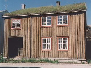 Gründächer kühlen durch erhöhte Wasserverdunstung