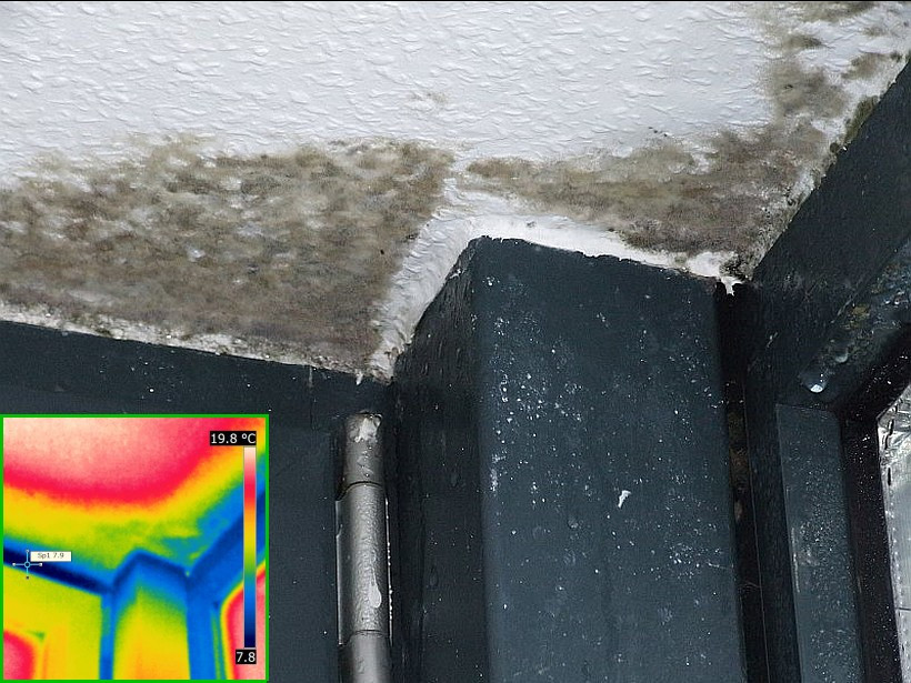 Schimmel und Tauwasser im oberen Bereich einer Metallfensterkonstruktion mit Wärmebild