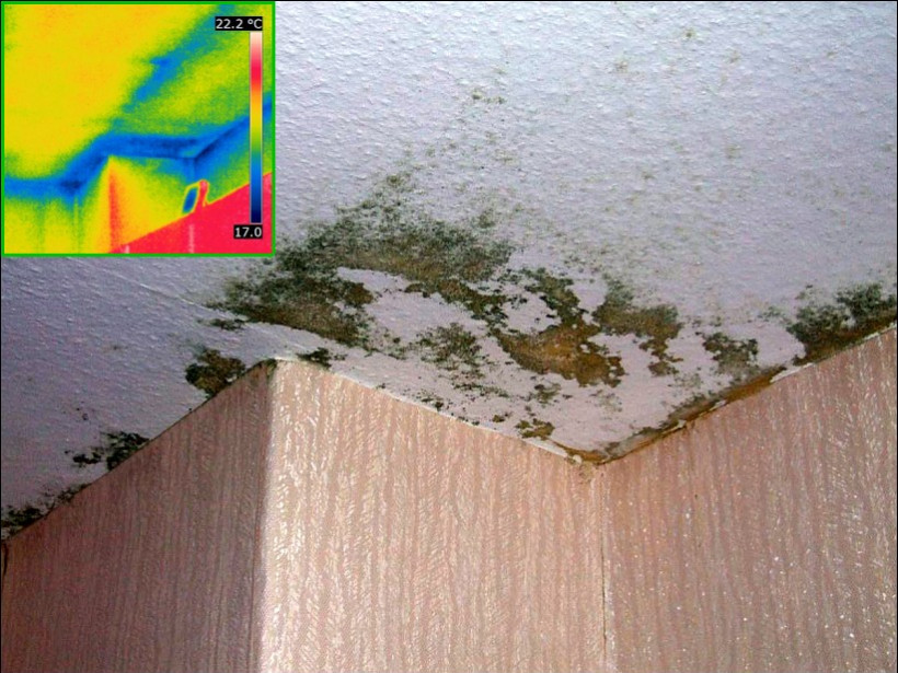 Schimmelbefall an einer Decke (ungedämmte obere Geschossdecke) mit Wärmebild