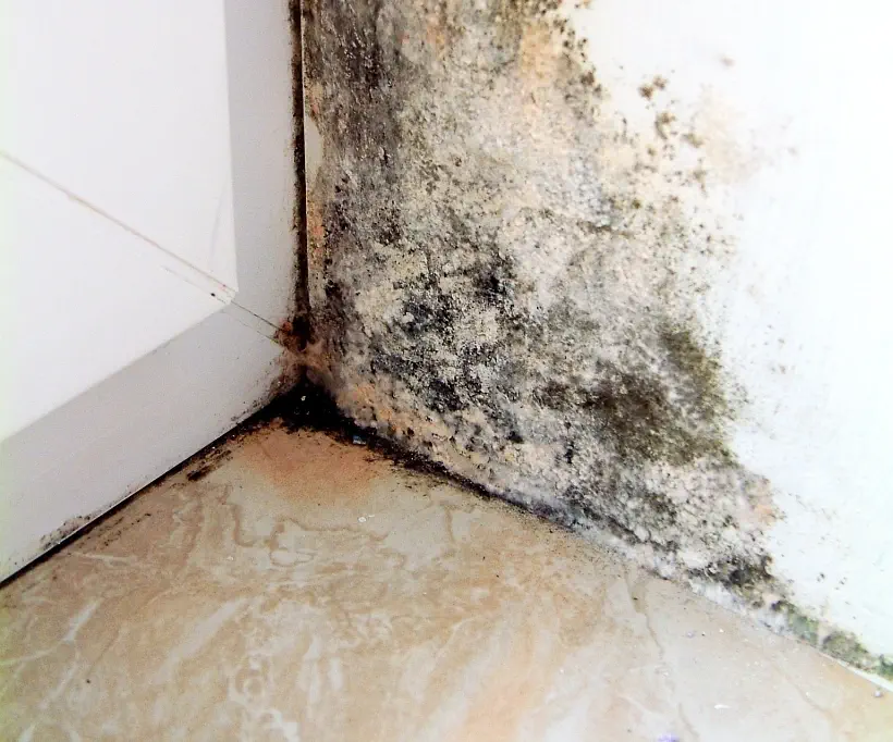 Schimmel in der Fensterlaibung unten