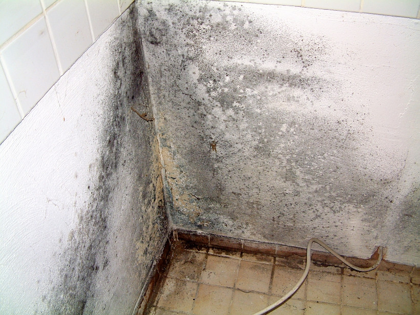 Schimmelbildung hinter den Küchenmöbeln in einer Außenwandecke