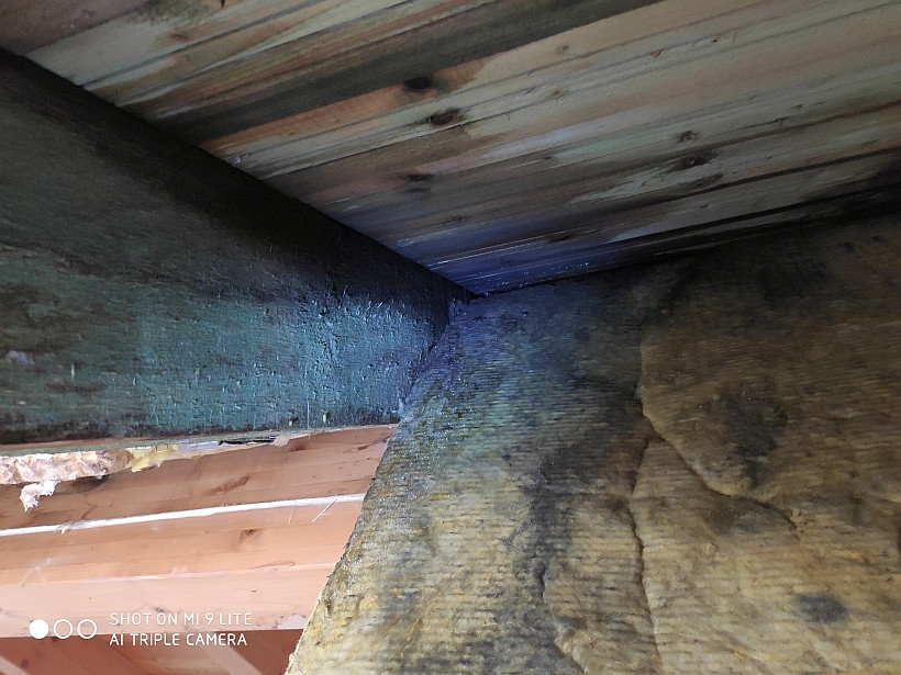 Durch Luftleckagen stark verschimmelte und nasse Mineralwolle im ausgebauten Dachgeschoss