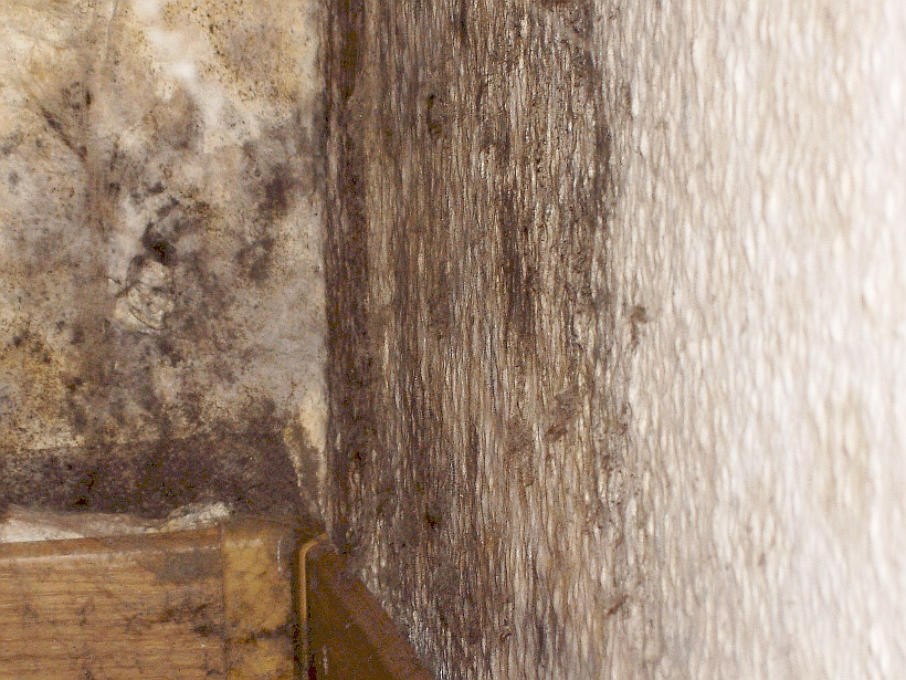 Nahaufnahme Schimmelbefall Außenwandecke über Keller (Schlafraum)