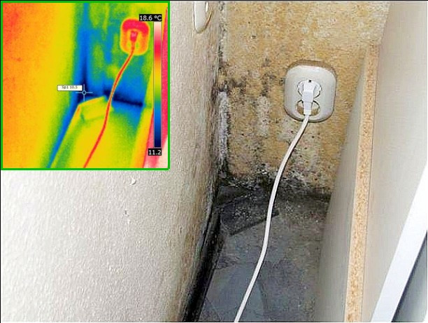 Thermogramm: Schimmelbildung in Außenwandecke neben Küchenschrank über Keller