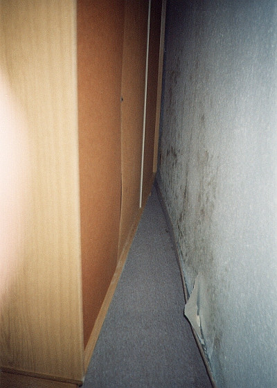 Ausgewachsener" verdeckter Schimmelbefall hinter einem Schrank