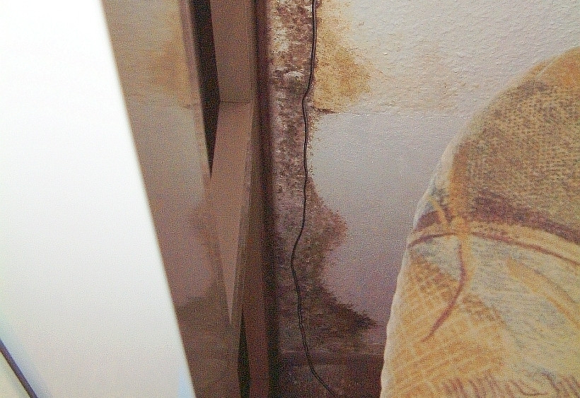 Massiver Schimmelbefall an einer Außenwand direkt neben dem Fensterrahmen (Festverglasung zum Balkon)