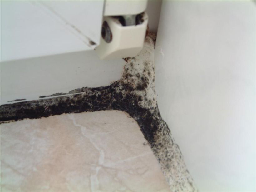 Ratlosigkeit nach Schimmelbildung auf den Acrylfugen einer inneren Fensterbank