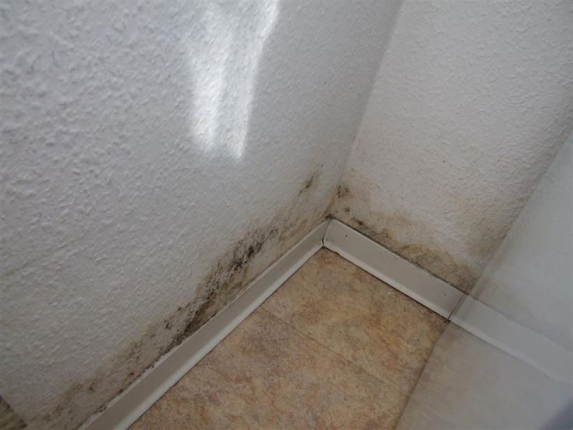 Schimmelbefall wegen schlecht gedämmter unterer Geschossdecke