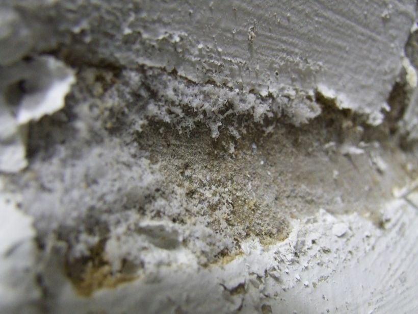Salzausblühungen auf einer durchfeuchteten Wand lassen die Farbe abblättern
