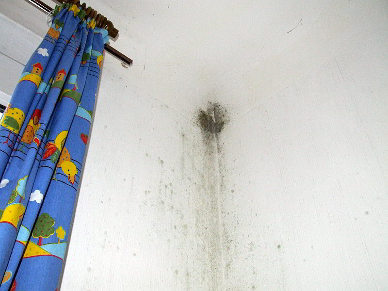 Schimmelbildung in einer oberen Raumecke des Kinderzimmers
