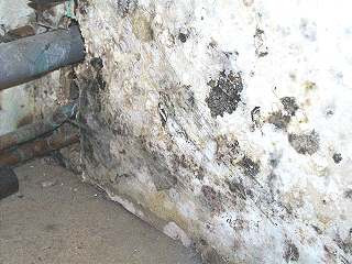 Schimmelbildung auf einer Gipskartonplatte nach Wasserrohrbruch