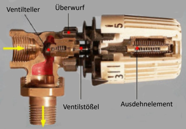 Schnitt durch ein Thermostatventil